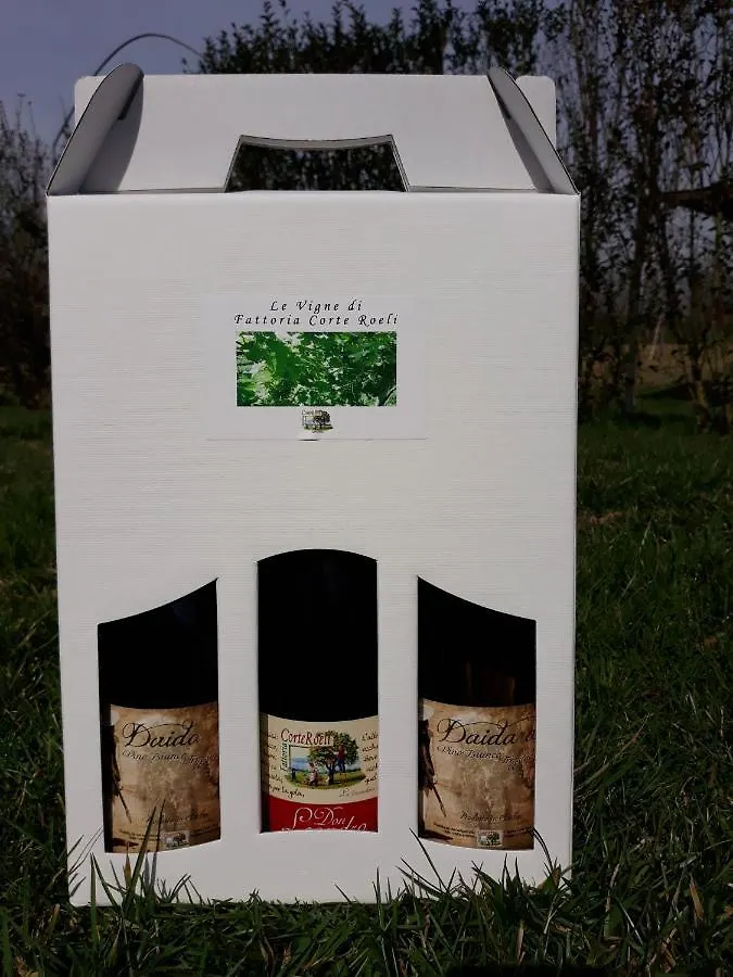 Gospodarstwo agroturystyczne Agriturismo Fattoria Corte Roeli Malalbergo Włochy